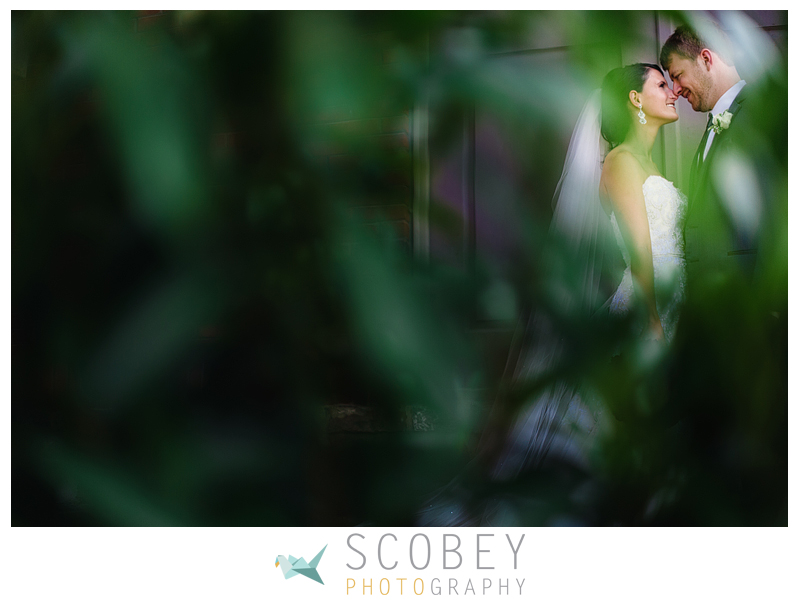 Mapes_Blogstomp20150725161455