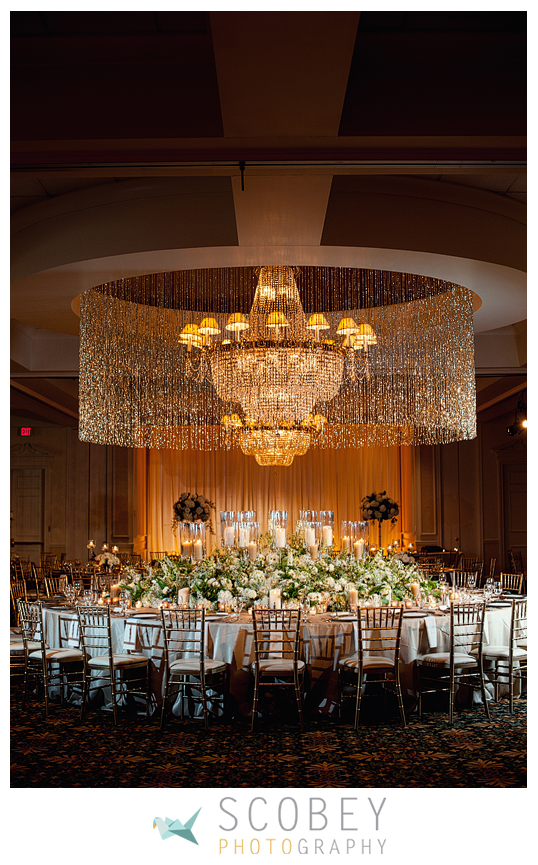 Mapes_Blogstomp20150725191117